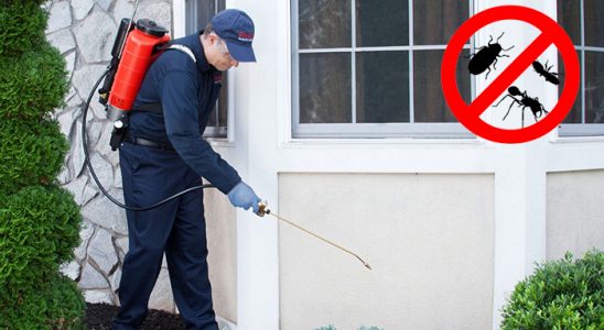 Aliağa Hamam Böceği İlaçlama böcek ilaçlama ve haşere kontrolü — ilaclama-tr.com